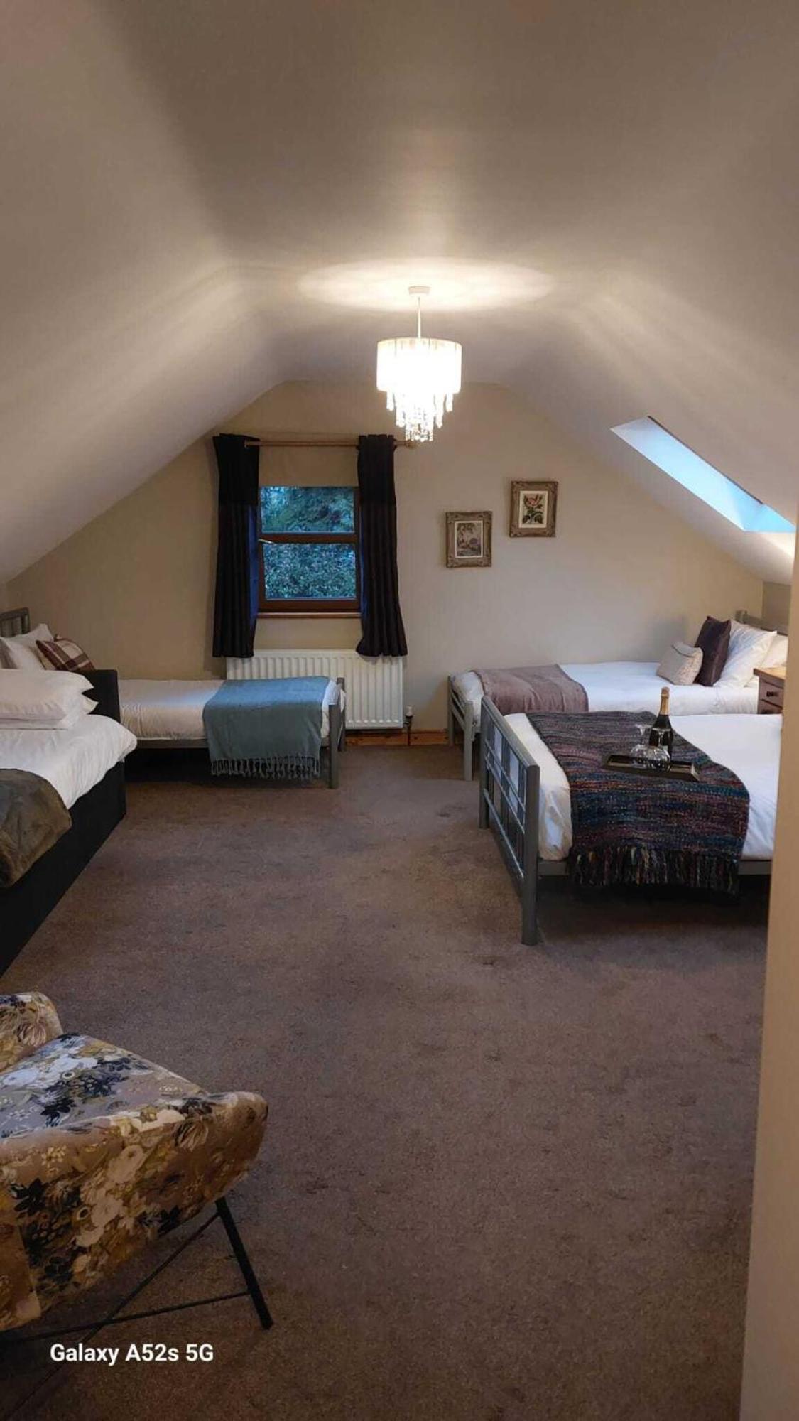 Dunhill Cottage B&B Гілсборо Номер фото